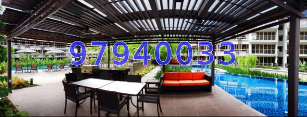 Flamingo Valley thumbnail photo